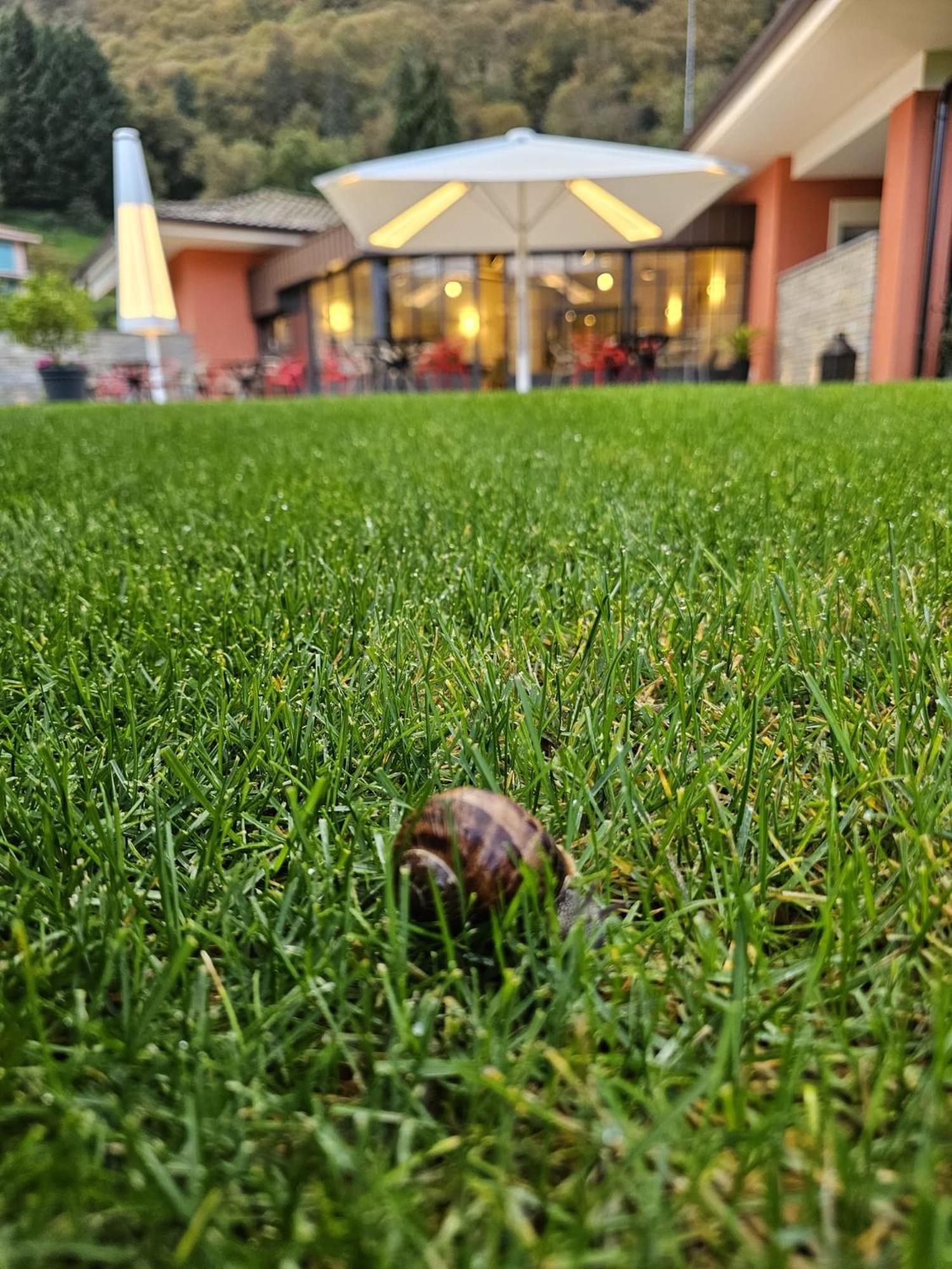 Hotel Villa Cuserina كانوبيو المظهر الخارجي الصورة